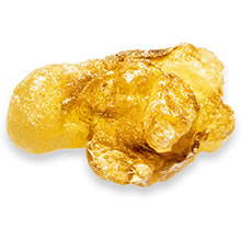 Boswellia Serrata